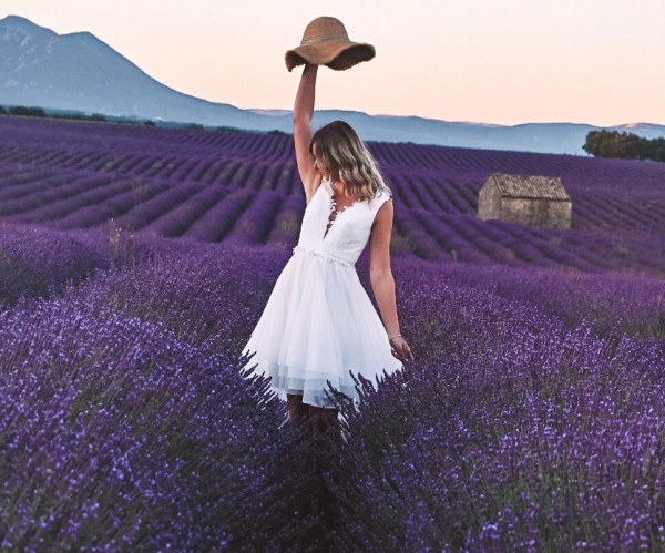 Kombi: Lavendel